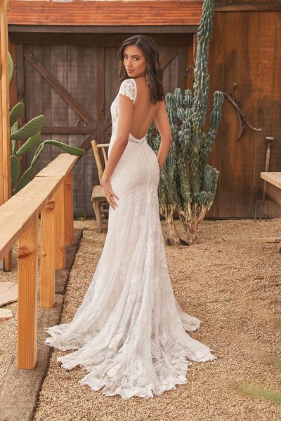 delicate lace wedding dress